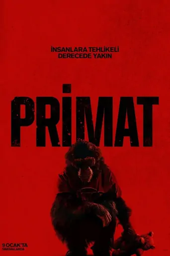Primat Film izle