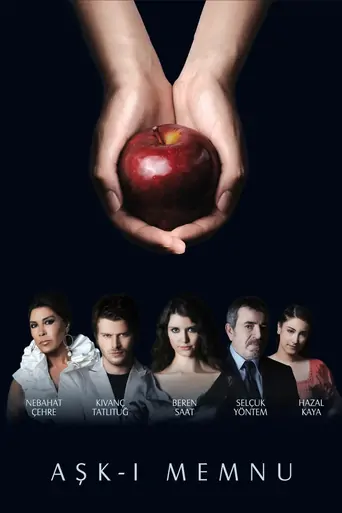 Aşk-ı Memnu Dizi izle