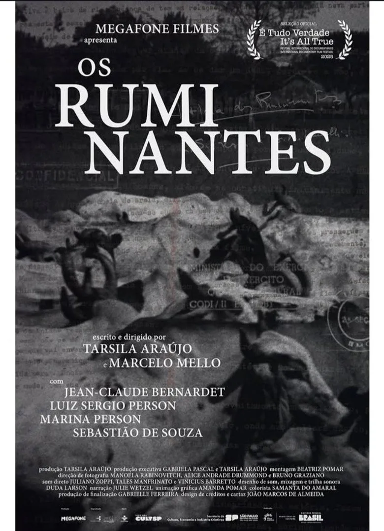 Os Ruminantes Film izle